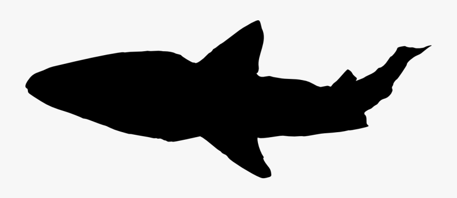 Transparent Shark Clipart Black And White - Portable Network Graphics, Transparent Clipart