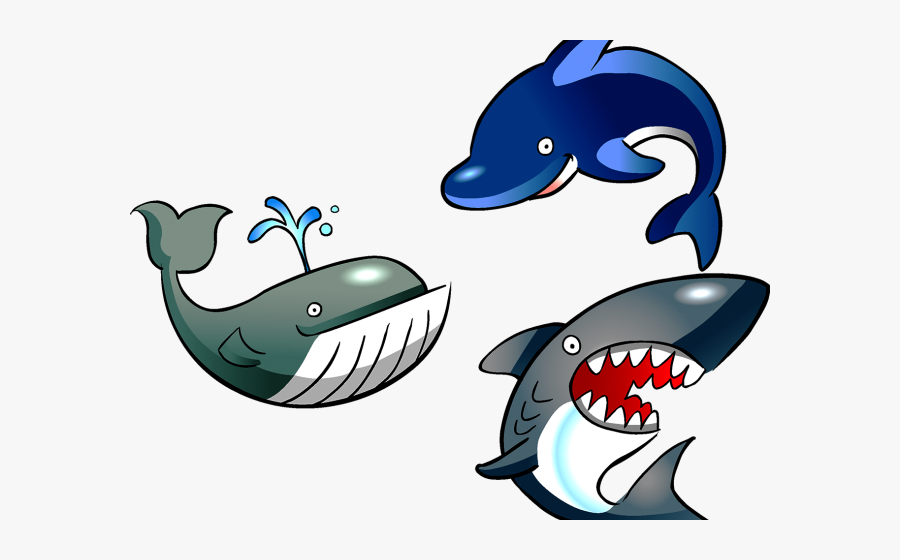 Marine Biology Clip Art, Transparent Clipart