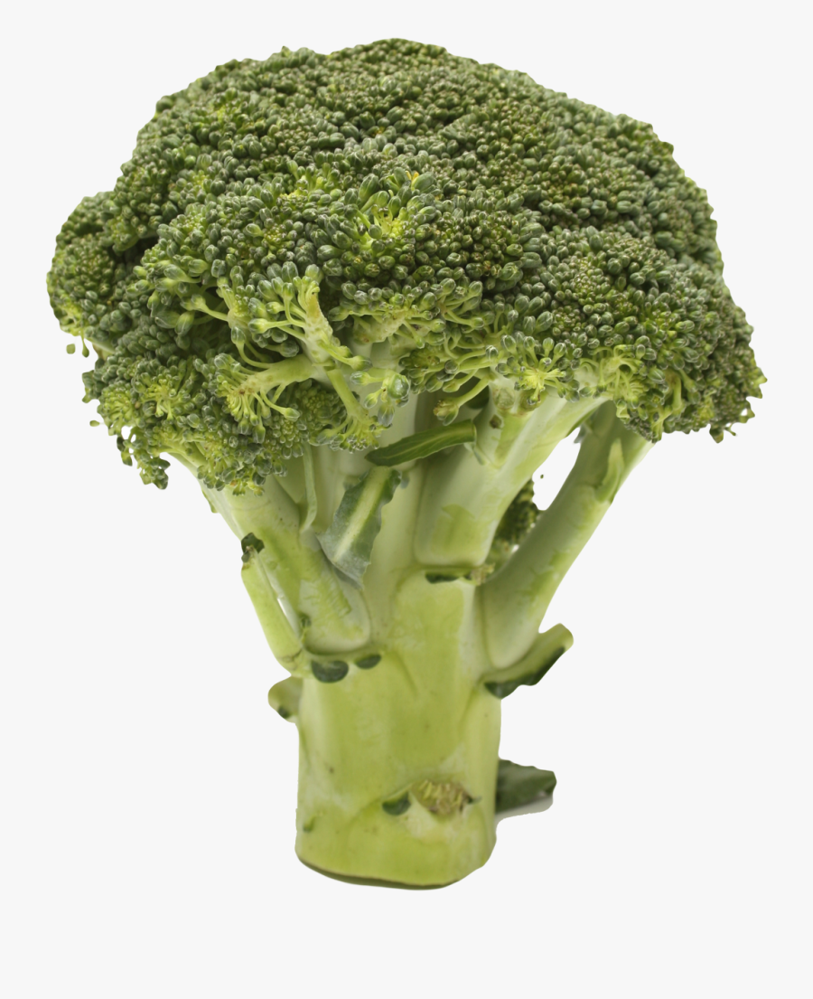 Image Black And White Download Broccoli Transparent - Broccoli Transparent, Transparent Clipart