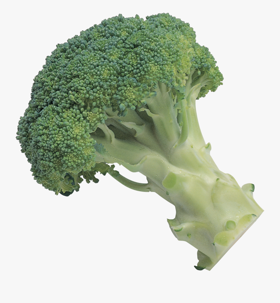 Broccoli Png Image - Broccoli Transparent Background, Transparent Clipart