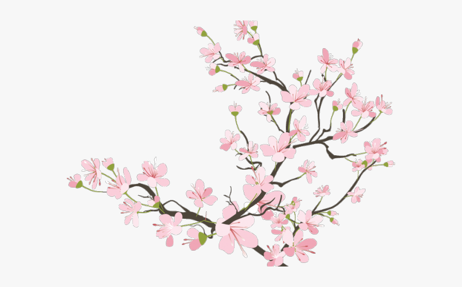 Transparent Cherry Blossom Branch Clipart - Transparent Background