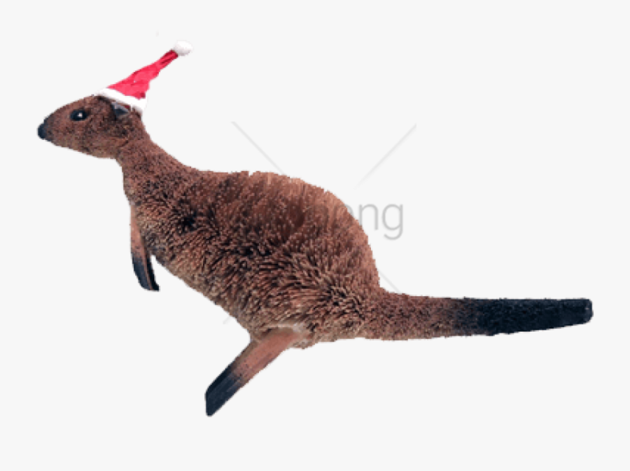 Kangaroo Clipart Santa - Punxsutawney Phil, Transparent Clipart