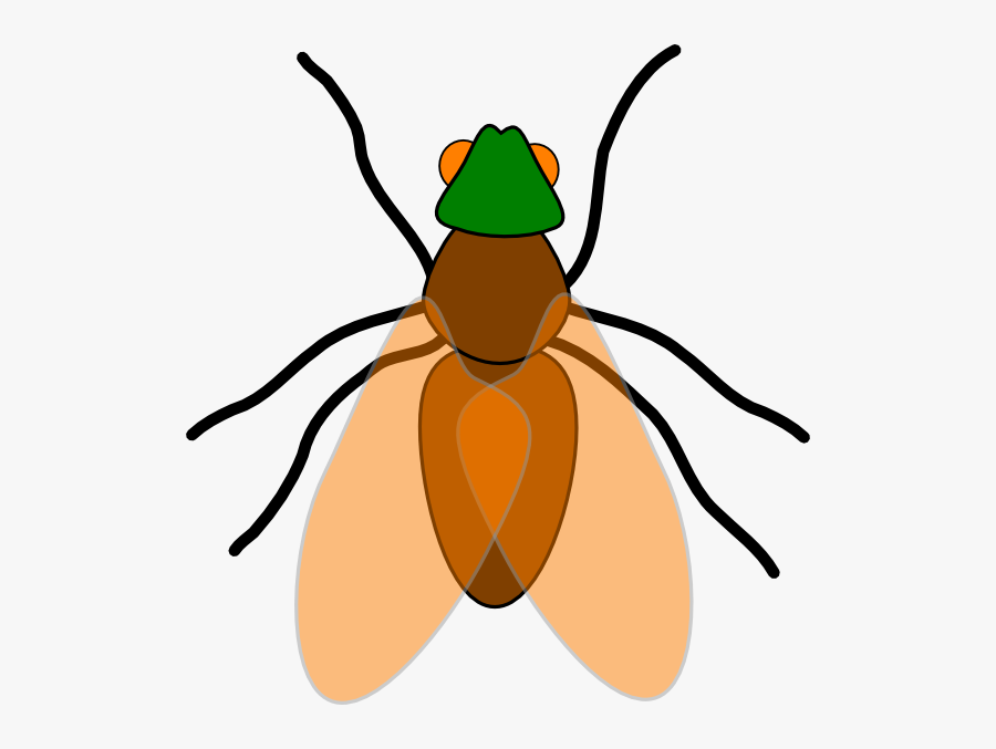 Fly Animal Clip Art, Transparent Clipart