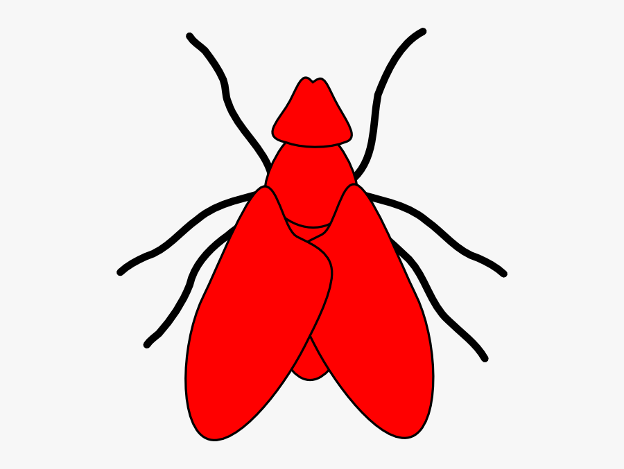 Red Fly Clipart, Transparent Clipart