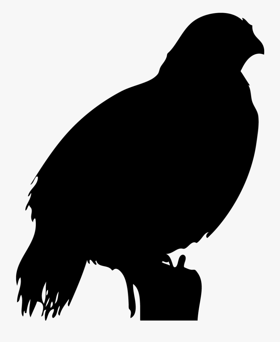 Gambel S Overview All - Game Birds Silhouette, Transparent Clipart