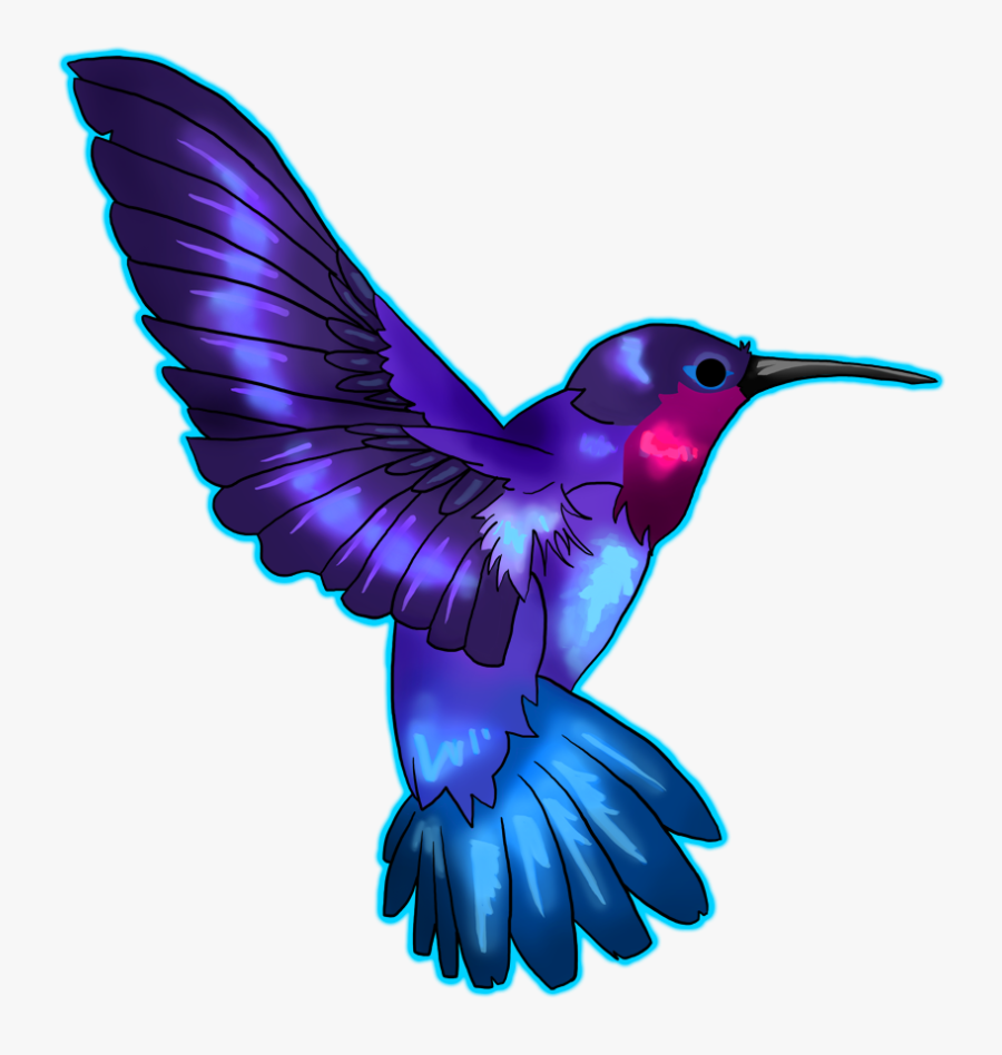 Clip Art Hummingbird Photos - Hummingbird Png, Transparent Clipart
