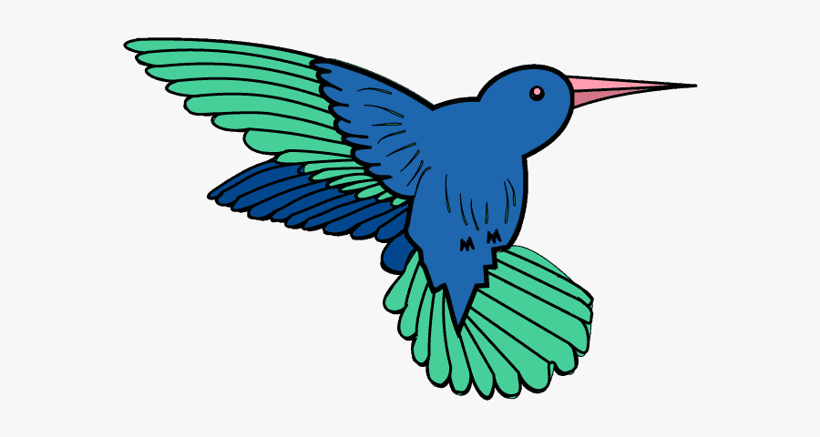 How To Draw A Hummingbird Easy Step - Drawing, Transparent Clipart