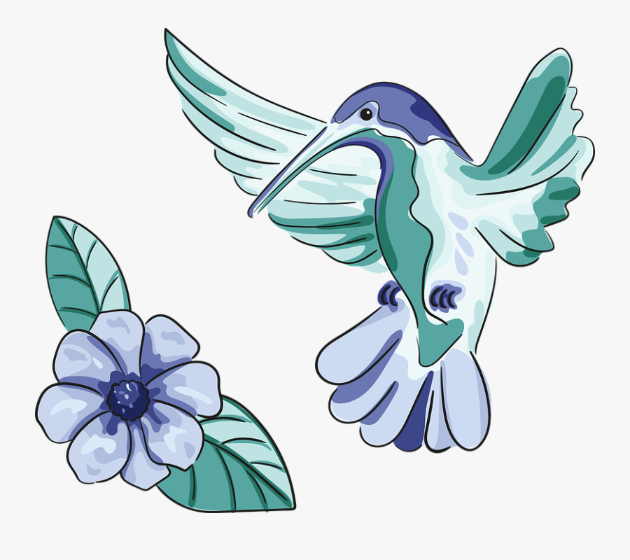 Hummingbird, Bird, Flower, Nature, Animal World, Flying - Flower Nature Animal, Transparent Clipart