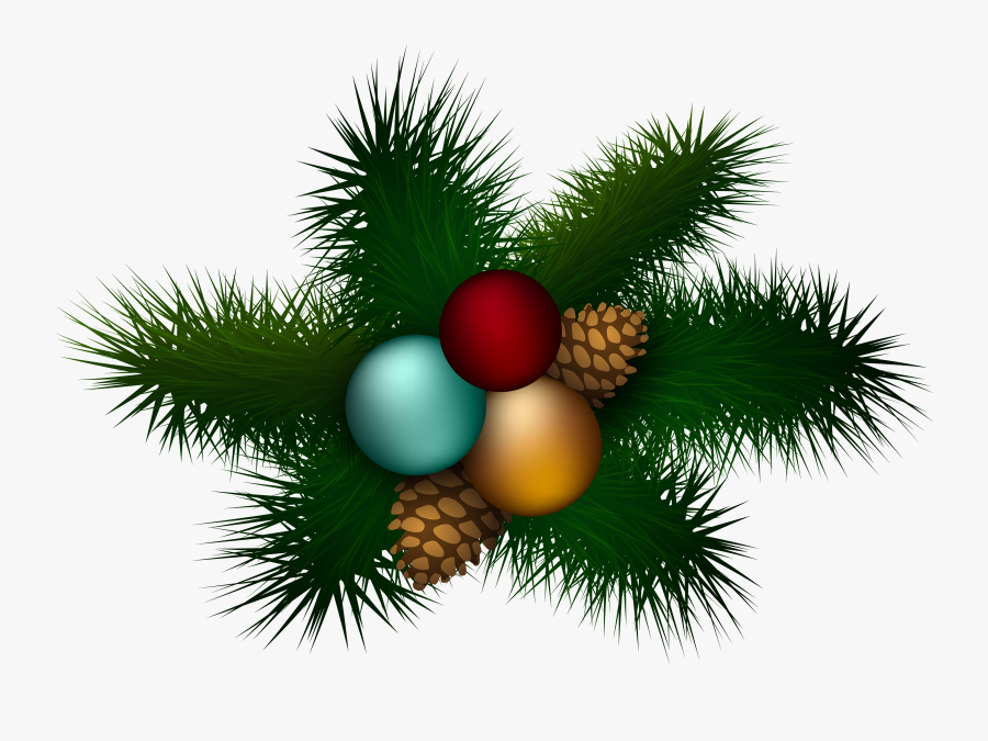 Christmas Pine Decoration Png Clip Art - White Pine, Transparent Clipart