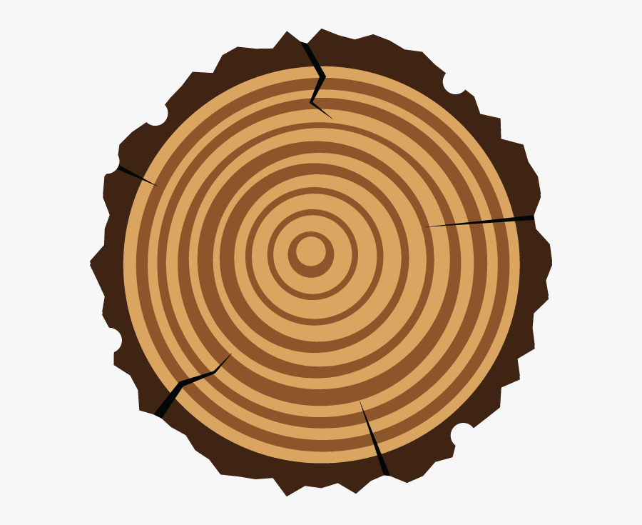 Tree Rings Png - Tree Rings Clip Art, Transparent Clipart