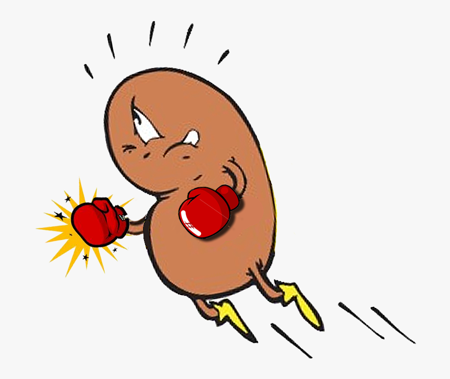 Bean Clipart Kidney Transplant - Kidney Clipart Funny, Transparent Clipart