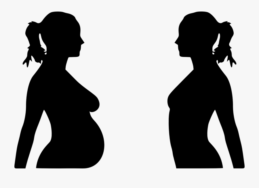 Pregnancy Pregnant Clip Art Free Free Clipart Image - Pregnant And Non Pregnant Woman, Transparent Clipart