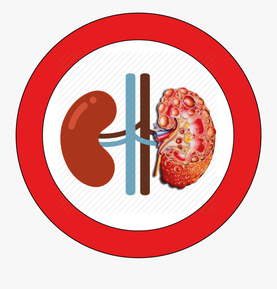 Transparent Kidneys Clipart - Bottled Water Free Day, Transparent Clipart