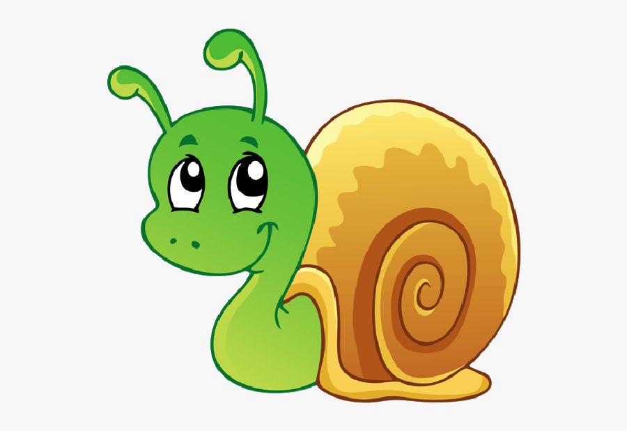 Image Download Use These Free Images - Cartoon Images Of Snail, Transparent Clipart