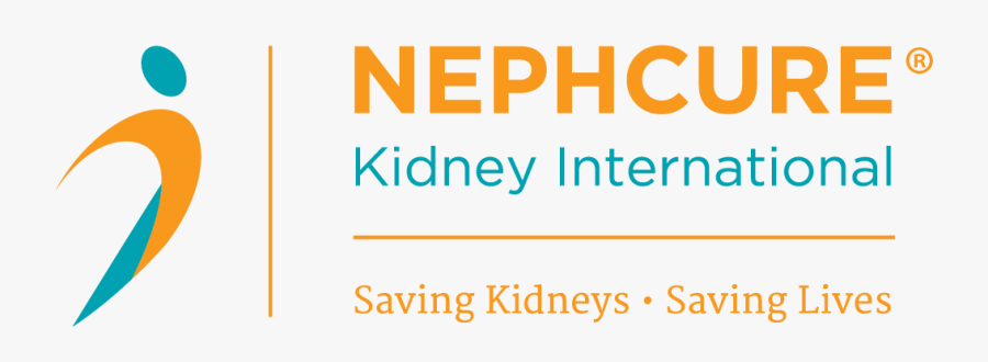 Krty Nephcure Kidney International - Nephcure Logo, Transparent Clipart