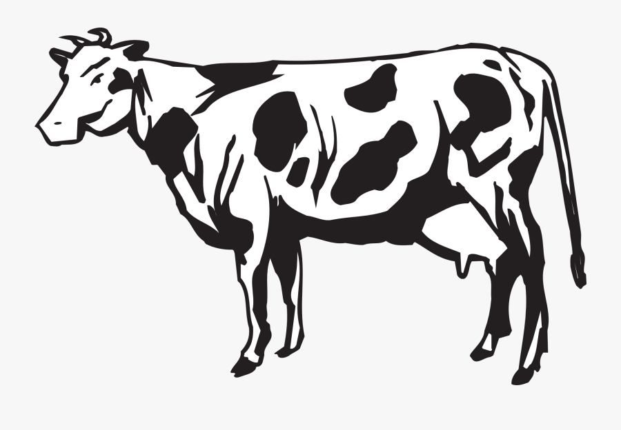 Cow Livestock Cattle - Gambar Sapi Perah Hitam Putih, Transparent Clipart