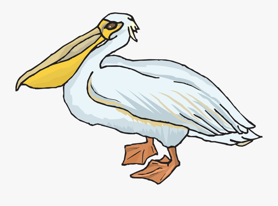 Transparent Pelican Png - Pelican Clipart Png, Transparent Clipart