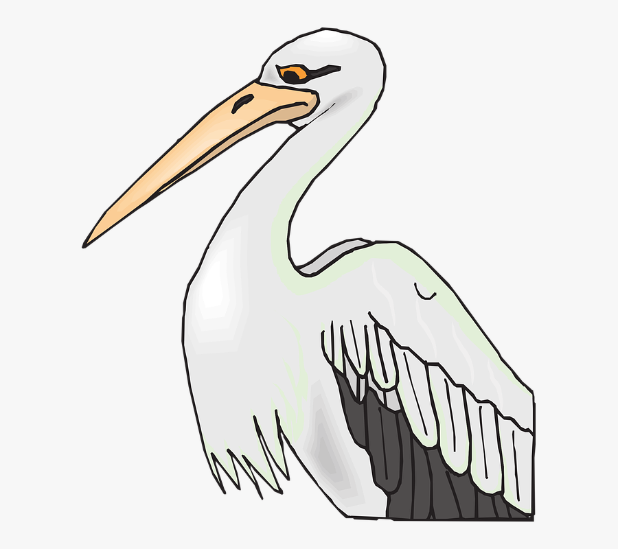 Pelican With Sharp Beak Clip Art - Beak Clipart, Transparent Clipart