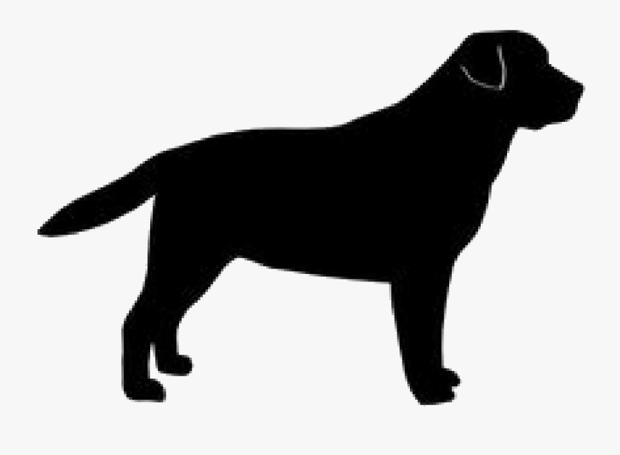 Golden Silhouette Labrador Breed Dog Retriever - Black Dog Logo Png, Transparent Clipart