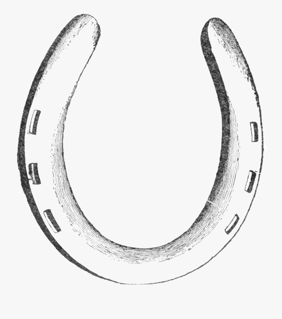 Horseshoe Drawing Ubisafe Pinterest Drawings Png Ubisafe - Horse Shoe Drawing, Transparent Clipart