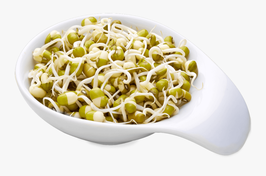 Pulse Bean Sprout Clipart - Mung Bean Sprouts Png, Transparent Clipart