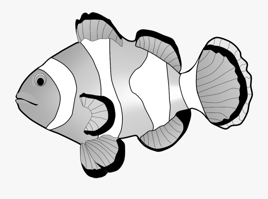 Clown Fish Clipart Black And White Png Of Clown Fish Free