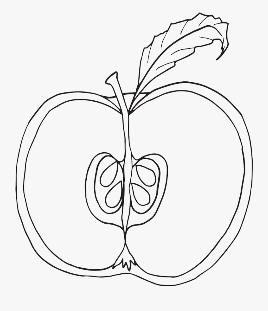 Cut Apple Coloring Page, Transparent Clipart