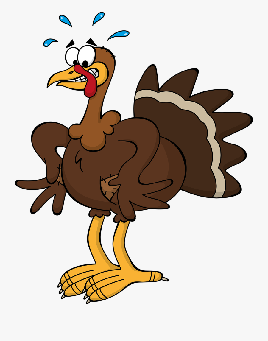 Thanksgiving Clipart Free - Turkey Cartoon Png, Transparent Clipart