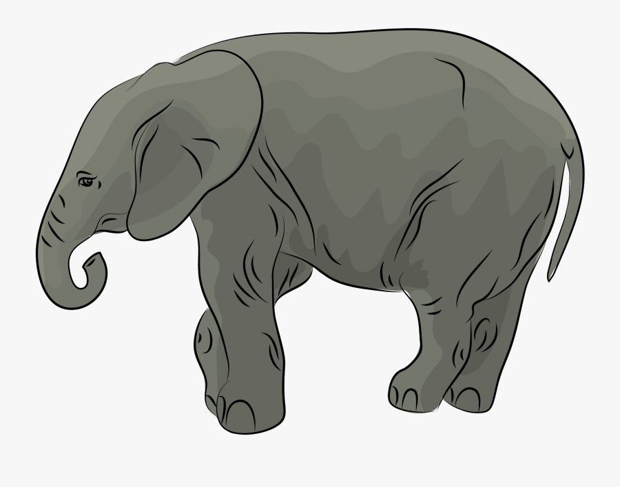 Indian Elephant, Transparent Clipart