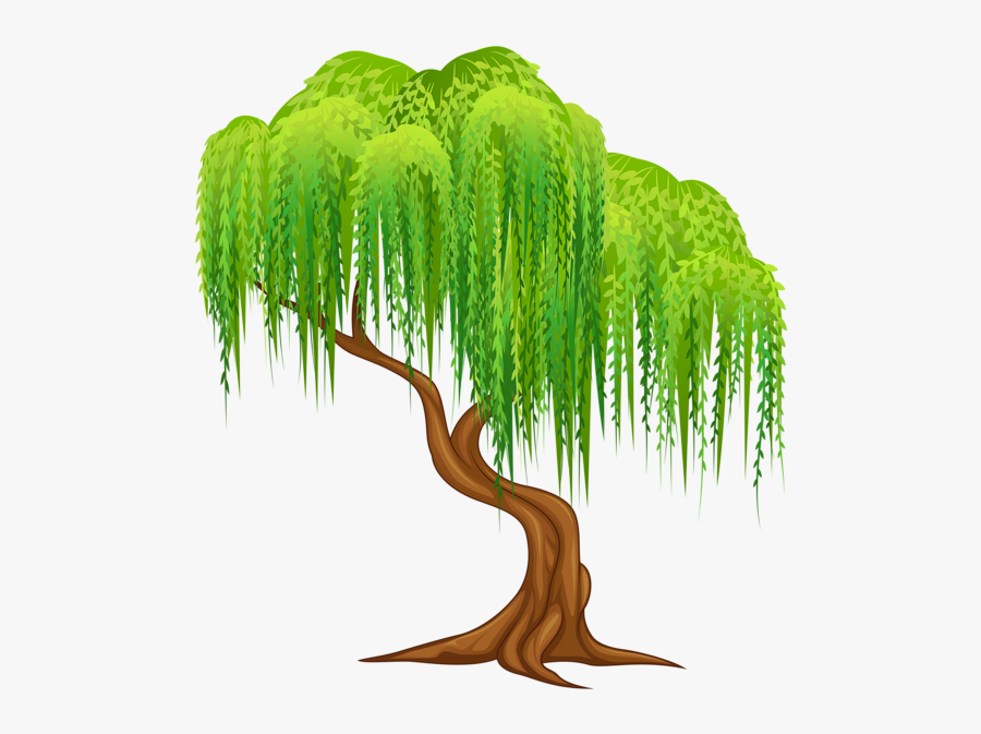 Willow Tree Clipart Willow Tree Transparent Png Clip - Weeping Willow Tree Clipart, Transparent Clipart