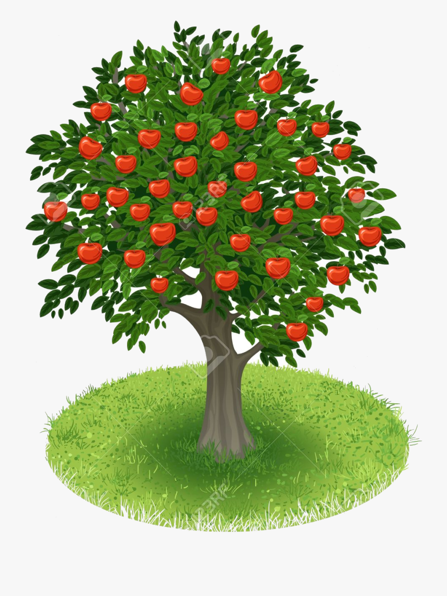 Apple Tree Clipart Transparent Png - Summer Tree Clip Art , Free