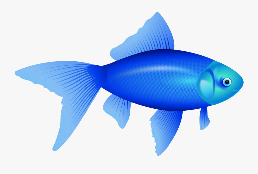 Transparent Fishes Png - Blue Fish Png, Transparent Clipart