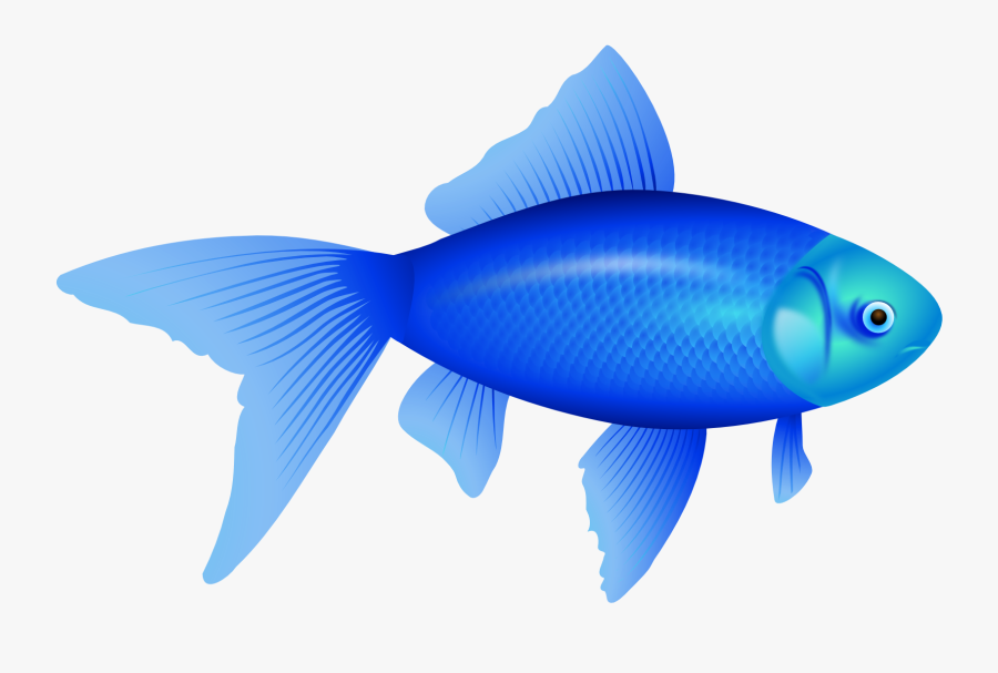 transparent fishes png blue fish png free transparent clipart clipartkey transparent fishes png blue fish png