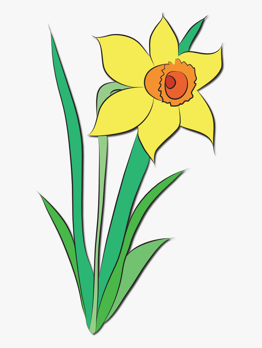 Daffodil Flower Clip Art, Transparent Clipart