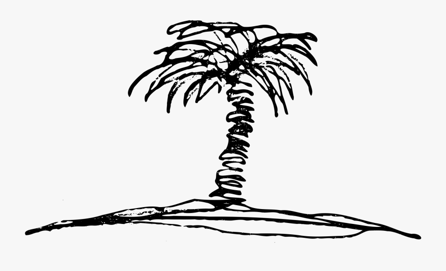 Palm Tree Clipart Black And White - Palm Tree Drawing Png, Transparent Clipart