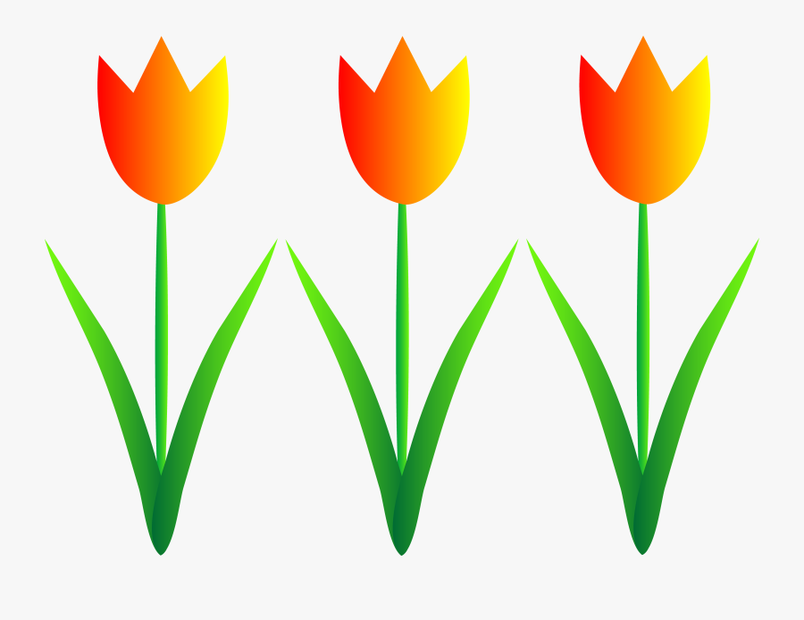 Spring Flower Border Clipart - Tulips Clip Art, Transparent Clipart