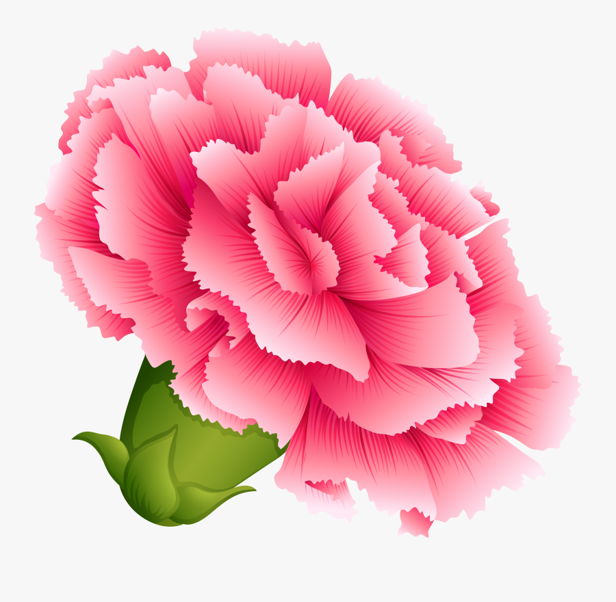 Transparent Flower Clipart Png - Pink Carnation Flower Tattoo, Transparent Clipart