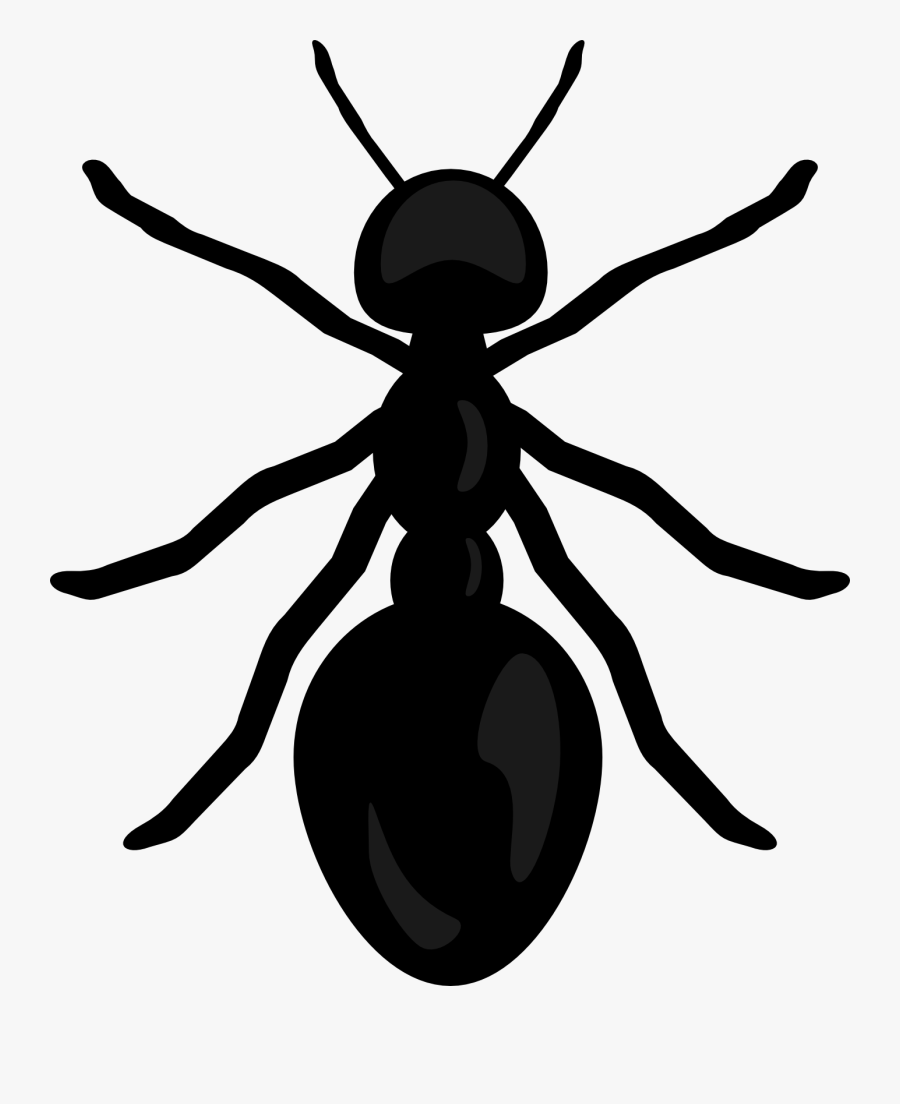 Mixed Clip - - Transparent Background Ant Clip Art, Transparent Clipart