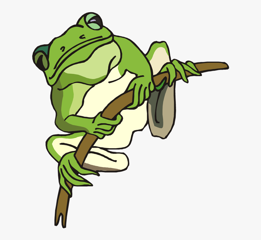 Free Frog Clipart - Tree Frog Coloring Page, Transparent Clipart