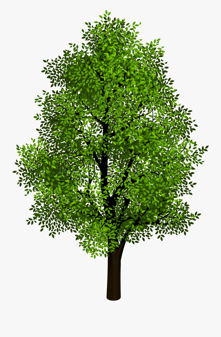 Transparent Airplane Clipart No Background - Tree Without A Background