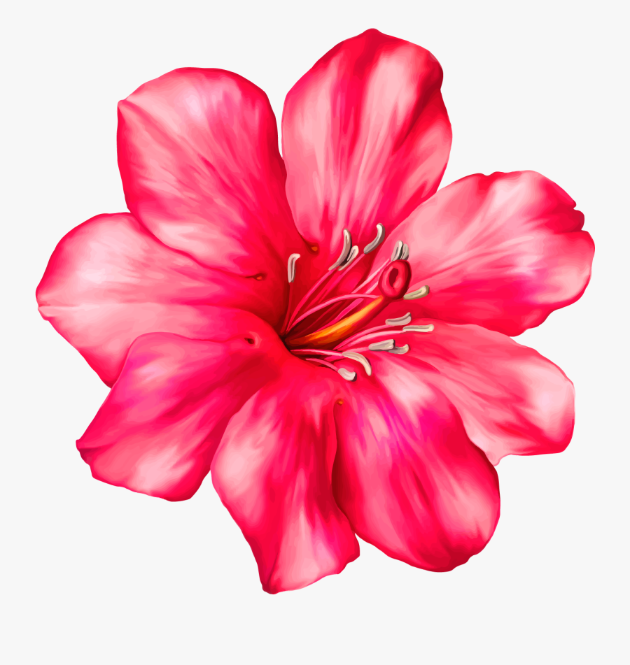 Exotic Pink Flower Png Clipart Picture - Tropical Flower Png, Transparent Clipart