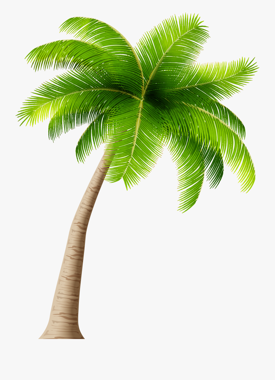 Tree Clipart Clear Background - Transparent Background Palm Tree Png, Transparent Clipart