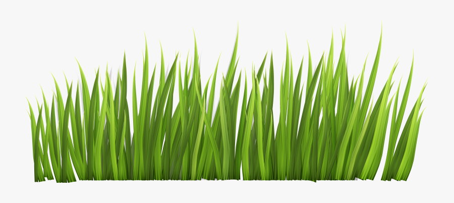 Grass Clip Art Free - Grass Clipart, Transparent Clipart