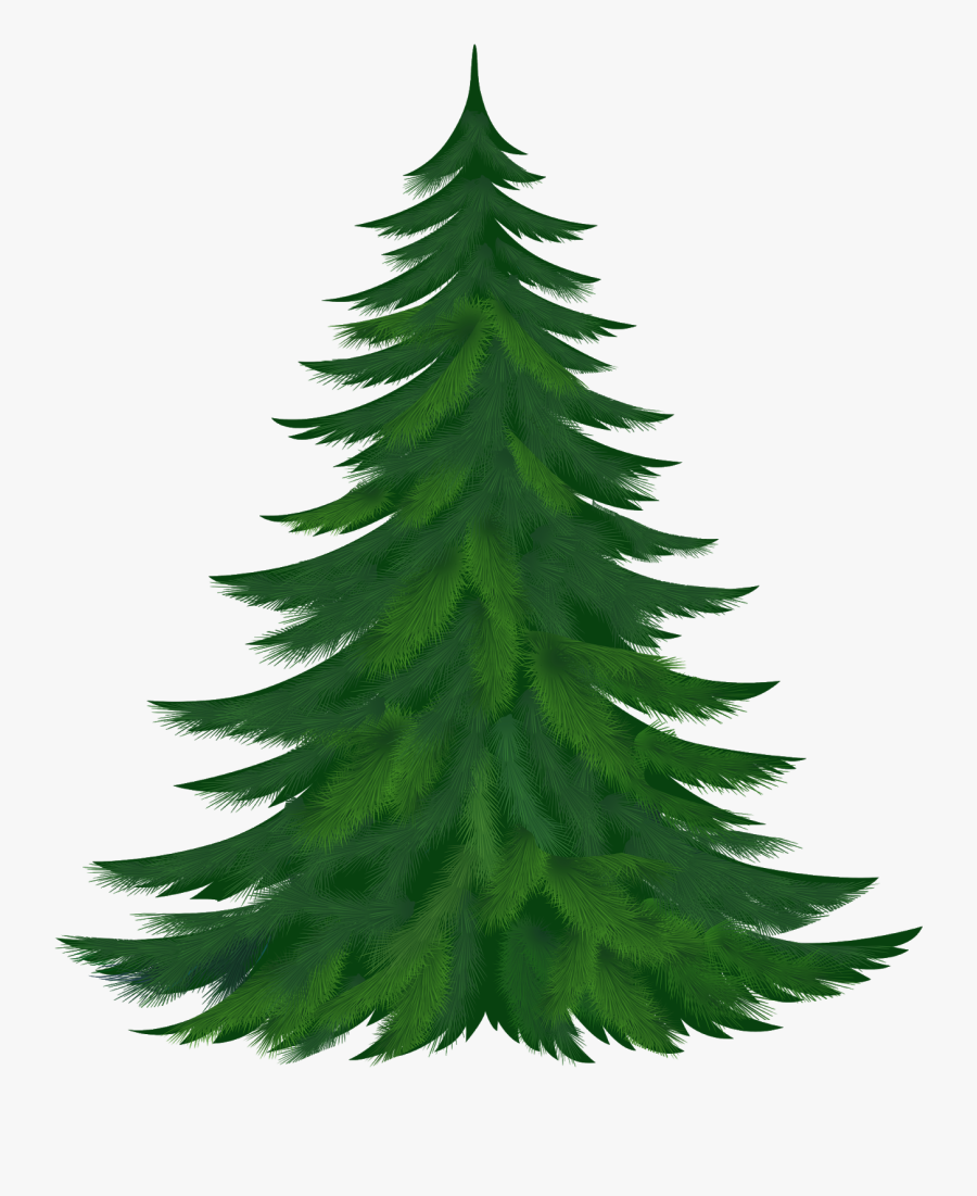 Pine Tree Clipart - Poster Of Christmas Tree, Transparent Clipart