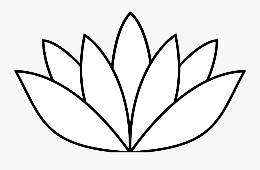 Download White Lotus Flower Svg Lotus Flower Drawing Simple Free Transparent Clipart Clipartkey PSD Mockup Templates