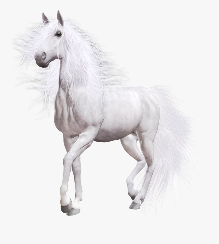 White Horse Png Clip Art - Portable Network Graphics, Transparent Clipart
