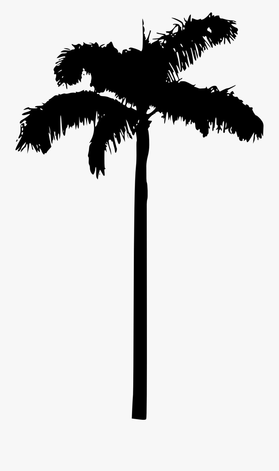 Palm Tree Silhouette Clipart No Background - Palm Tree Silhouette White Background, Transparent Clipart