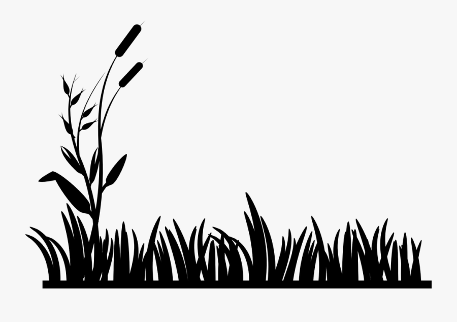 Free Image On Pixabay - Grass Black And White Png, Transparent Clipart