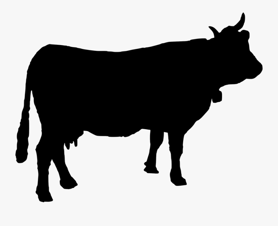 Cattle Cow Cowbell - Cow Silhouette Vector, Transparent Clipart