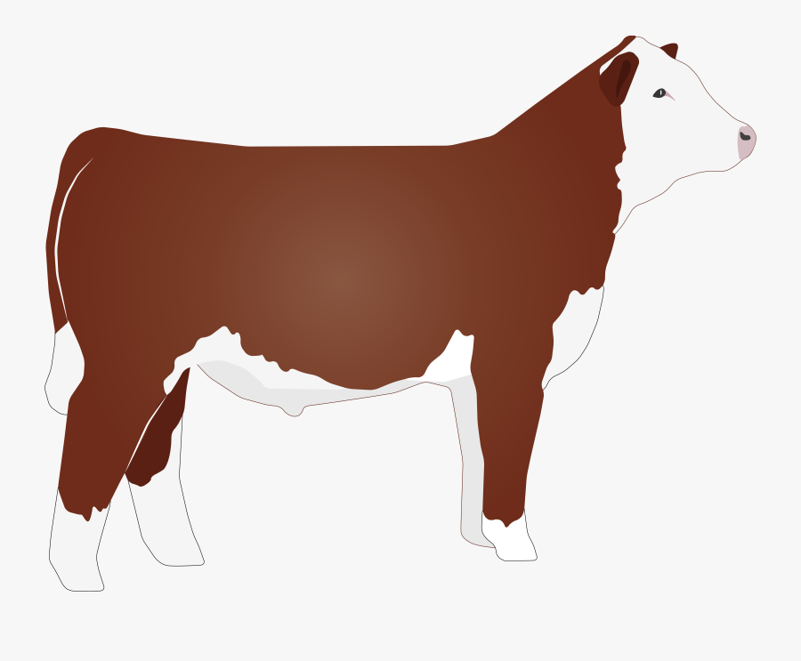 Beef Vector Hereford Cow - Hereford Cattle Clipart, Transparent Clipart